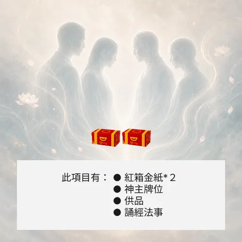 超渡冤親債主-２箱金紙（基本）