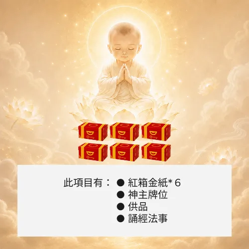 超渡嬰靈-６箱金紙