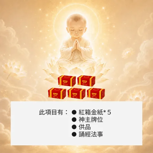 超渡嬰靈-５箱金紙