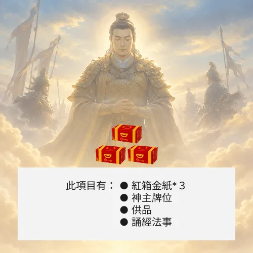 超渡眾英烈-３箱金紙