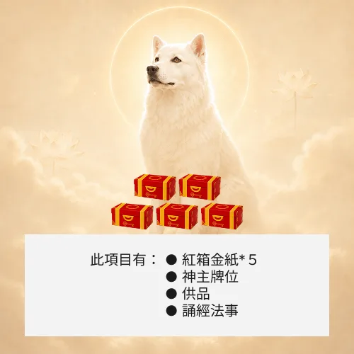 超渡六畜生靈-５箱金紙