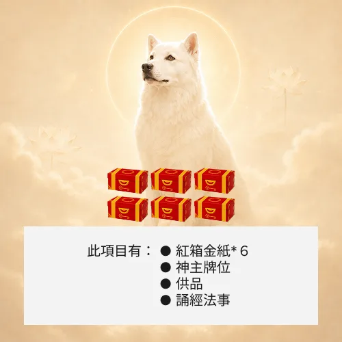 超渡六畜生靈-６箱金紙
