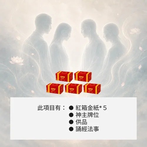 超渡冤親債主-５箱金紙