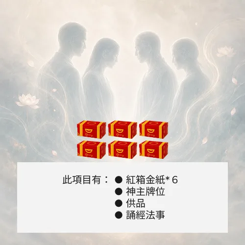 超渡冤親債主-６箱金紙