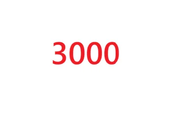 3000